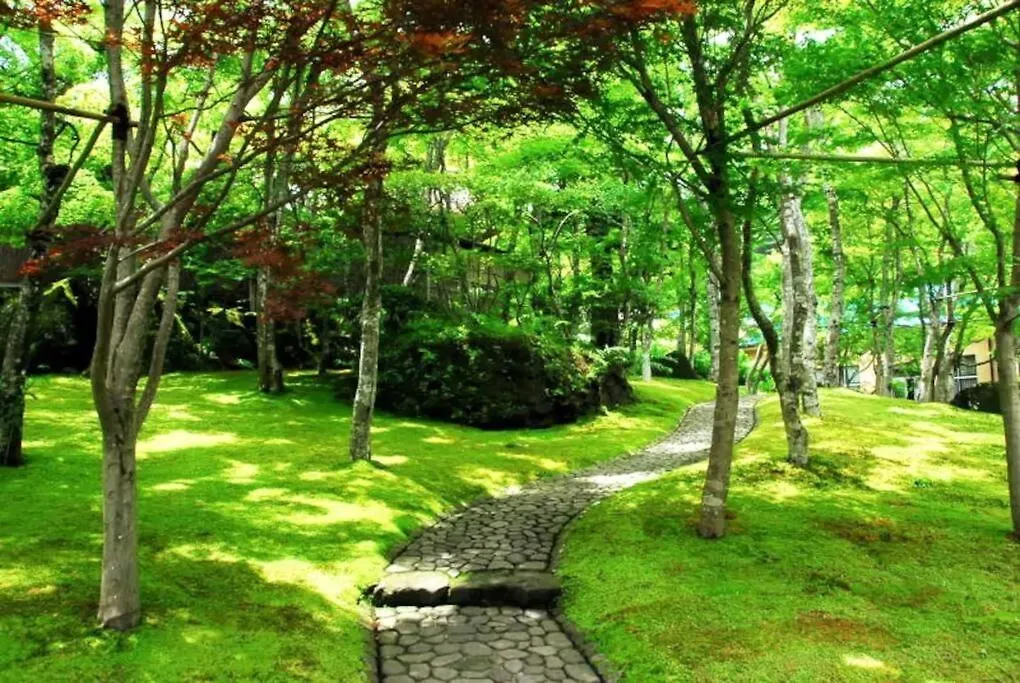 בית נופש Forest Villa האקונה